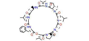 Wewakamide A